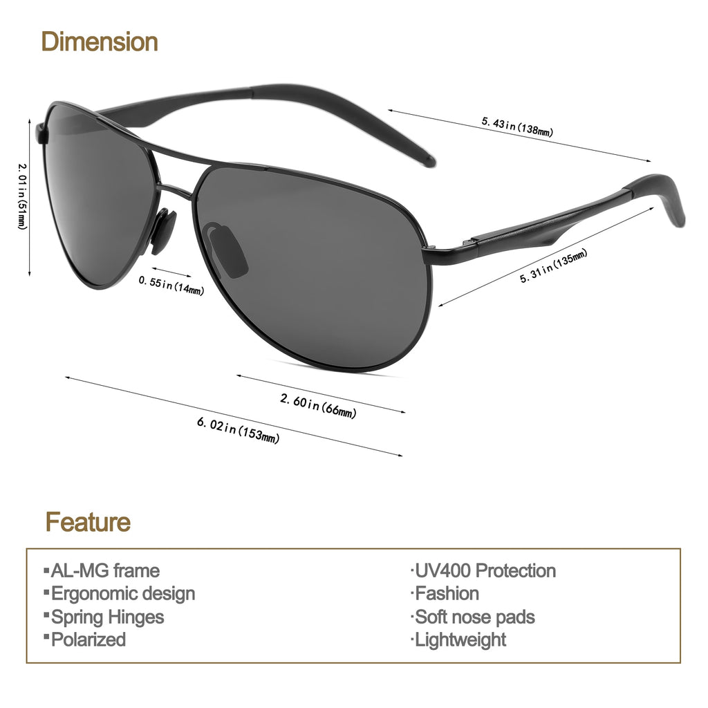 Aviator Polarized Aluminum Magnesium