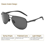 Aviator Polarized Aluminum Magnesium